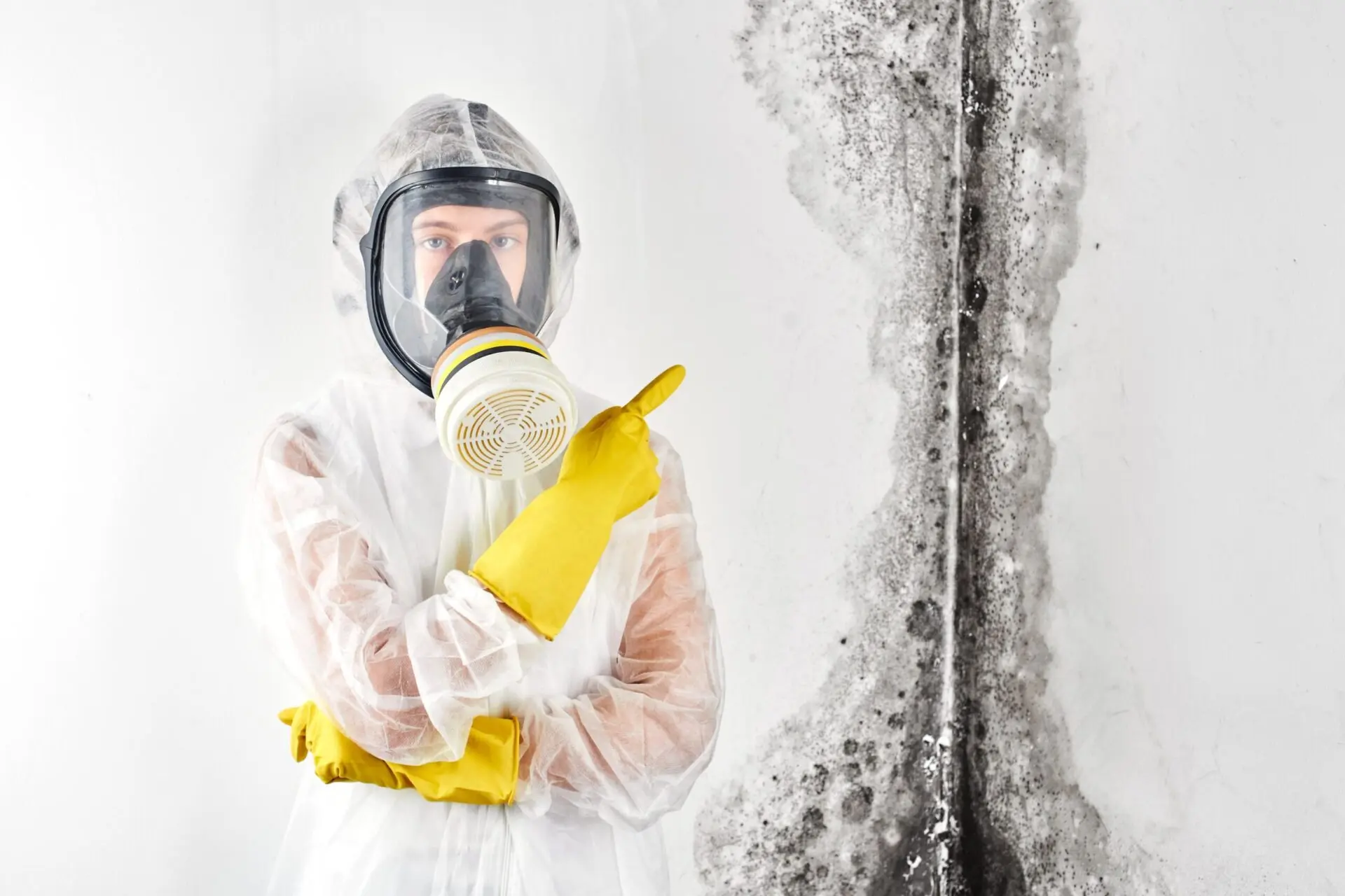 sunshine coast surface mould check 