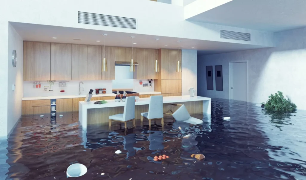 Water damage restoration sunshine coast